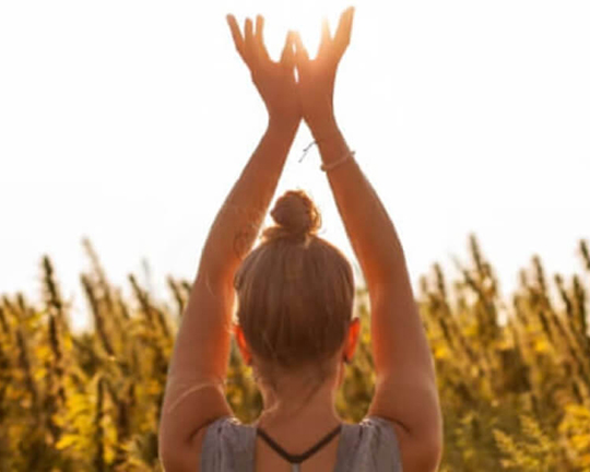 Vrouw voor een hennepveld voor cdb olie